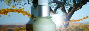 Продолжение знакомства с французской уходовой косметикой Loccitane