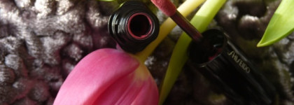 Моя прекрасная Shiseido Lacquer Rouge RD321 Ebi