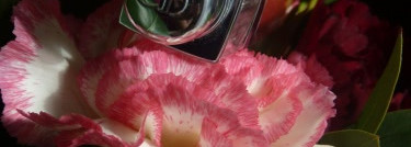 Ждём весну! Сверкающий блеск для губ «Мгновенный объем» Dior Addict Ultra Gloss Reflect #732 Paradise