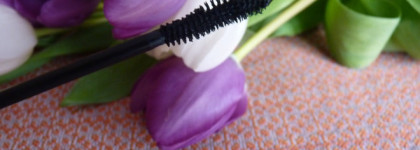 Бюджетные туши для ресниц и бровей марки Essence