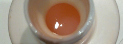 Organic Shop organic shea & silk шампунь гладкий блеск Shine Shampoo шелковый нектар