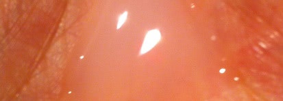 Organic Shop organic shea & silk шампунь гладкий блеск Shine Shampoo шелковый нектар