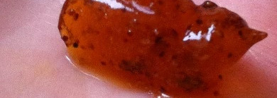 Банька Агафьи секреты сибирской травницы. Гречишный скраб для тела