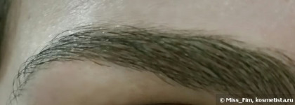 Yllozure Orbit Precise Browliner #651 brun