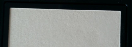 Shiseido Luminizing Satin Eye Color #ye121