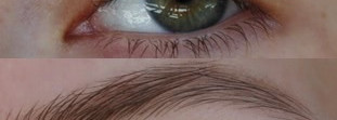 Естественные брови с Eva Mosaic Eye Brow Duo и Vivienne Sabo Fixateur
