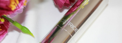 Помада  Catrice Ultimate Shine 260  Berry Delicious