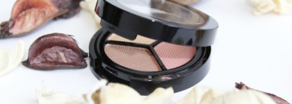 Моя незаменимая помощница - палетка Paese Opal