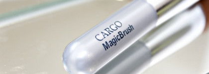 Магнитная кисть Cargo Magic Brush