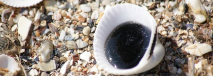 ХИТ Продаж - черный шампунь для глубокого очищения Faberlic Expert Black Detox