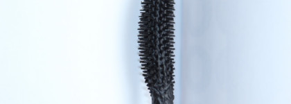 Что я думаю по поводу туши Catrice False Lashes Glam&Doll