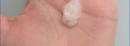 В поисках здорового блонда- Sebastian, SexyHair, Chi, iColor, RRline