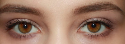 Essence All About Roses eyeshadow