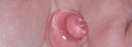 Мое знакомство с Constant Delight