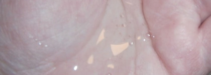 Мой уход за волосами, часть вторая: любимчики и хорошисты