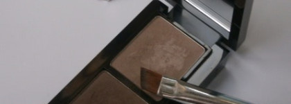 Catrice Eyebrow Set в оттенке 010