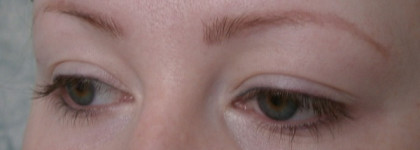 Catrice Eyebrow Set в оттенке 010