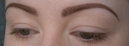 Catrice Eyebrow Set в оттенке 010