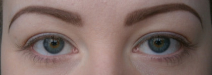 Catrice Eyebrow Set в оттенке 010