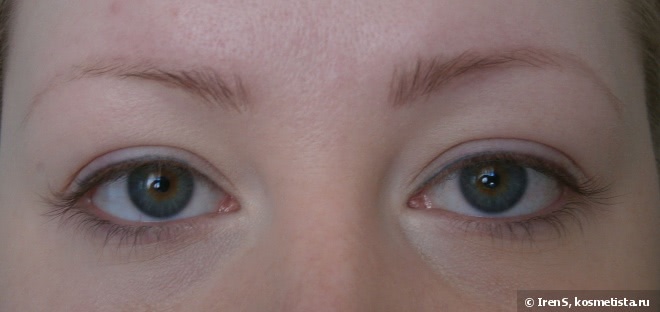 Catrice Eyebrow Set в оттенке 010