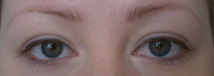 Catrice Eyebrow Set в оттенке 010
