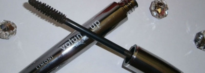 Limoni -  Baked Powder №01, «Volume up» Volume mascara №04 brown, Lip Gloss №41 и №42