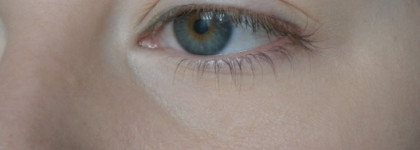 Limoni -  Baked Powder №01, «Volume up» Volume mascara №04 brown, Lip Gloss №41 и №42