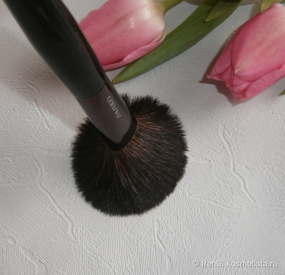 Мои кисти, часть 3 – Shiseido