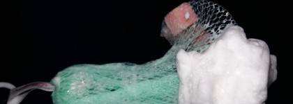 Пенка для умывания с экстрактом слизи улитки The Saem Snail Essential EX Deep Cleansing Foam