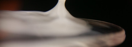 Улитки в моем уходе