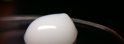 Улитки в моем уходе