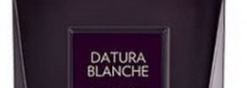 Выход в свет или ароматы, идеальные для торжеств и вечеров
