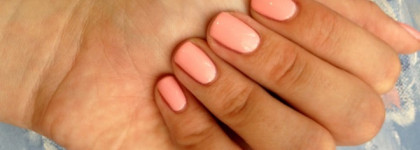 Неженка Anny Sweet Muse 248