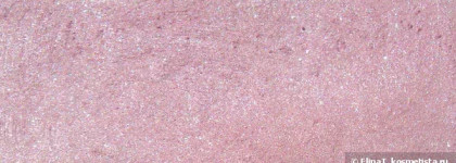 Shiseido Luminizing Satin Eye Color VI704 Provence