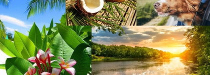 Косметичка августа: тропики, жара и бунтарство