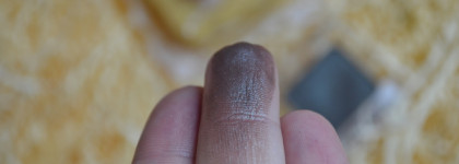 Спинки жуков в моей коллекции