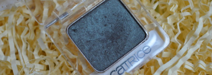 Спинки жуков в моей коллекции