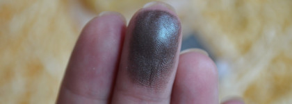 Спинки жуков в моей коллекции