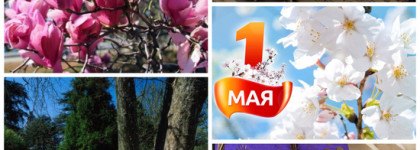 Косметичка мая: «ну вот и лето пришло»