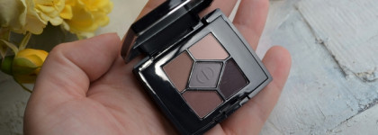 Идеальный люкс, который не купить Dior 5 Couleurs Eyeshadow Palette #757 Dream Matte