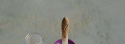 Легендарнее некуда Tarte Shape Tape Contour Concealer оттенок 12N Fair Neutral