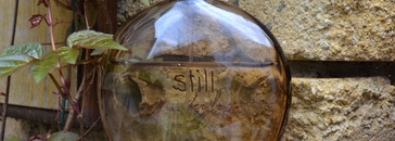 Самый мелодичный аромат - Still EDP от Jennifer Lopez