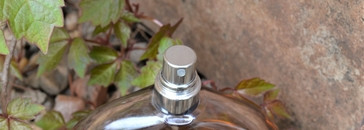 Самый мелодичный аромат - Still EDP от Jennifer Lopez