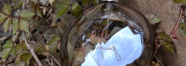 Самый мелодичный аромат - Still EDP от Jennifer Lopez