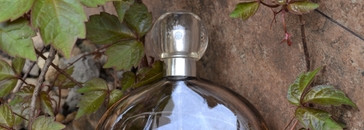 Самый мелодичный аромат - Still EDP от Jennifer Lopez