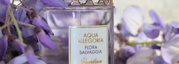 Цветы эльфов от Guerlain Aqua Allegoria Flora Salvaggia EDT