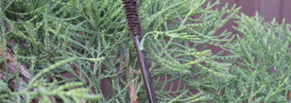 Лучшая коричневая тушь для ресниц - объёмная Relouis Mascarad Mascara