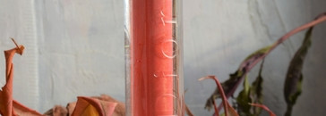 Epic fail с блеском для губ Dior Addict Ultra Gloss Mirror Sensational Mirror Shine Hydra - Plumping Volume — 656 Cosmic