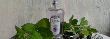 Brocard Чёрная смородина и Мята EDT - для единения с природой