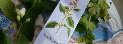 Brocard Чёрная смородина и Мята EDT - для единения с природой